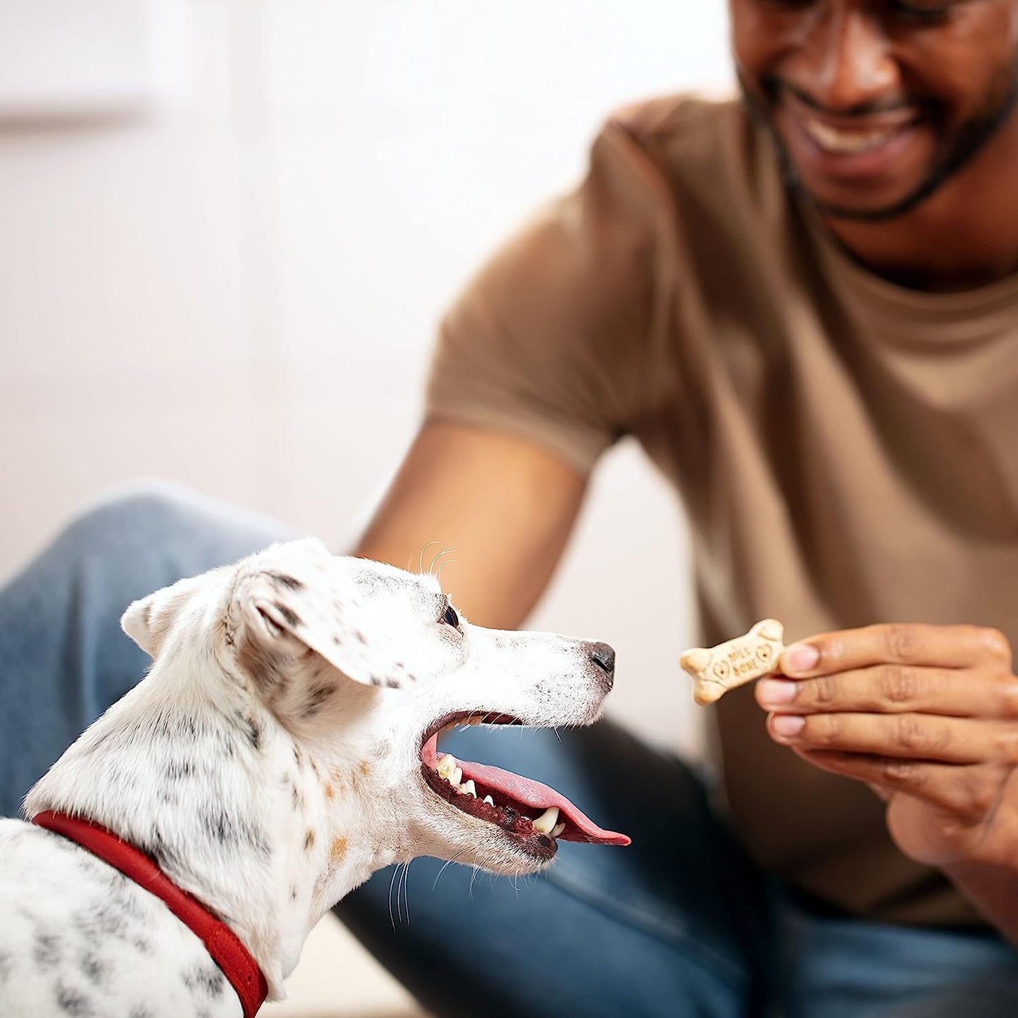 Milk-Bone Medium Crunchy Dog Treats, 10 Pounds, Helps Clean Teeth, Meaty Taste