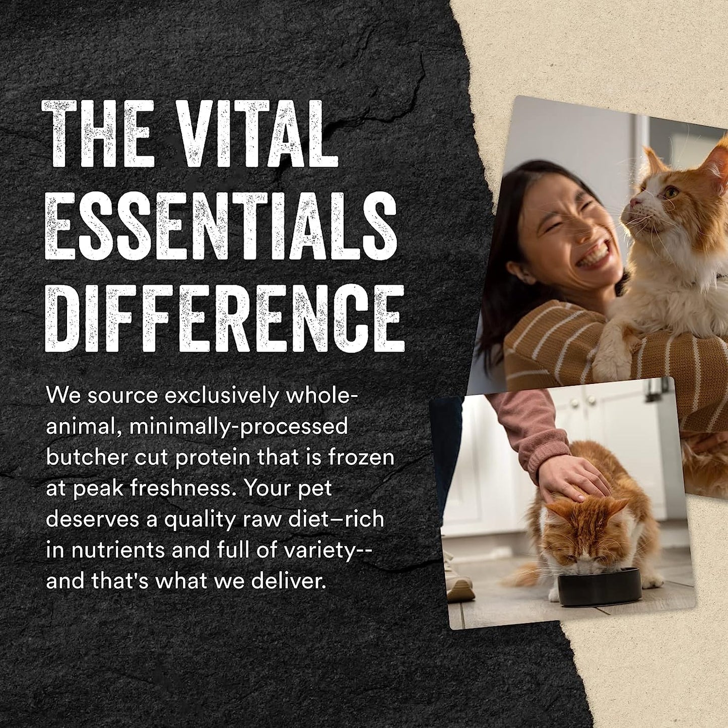 Vital Essentials Freeze-Dried Raw Cat Treats, Minnows Treats, 0.5 oz